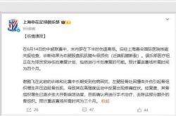申花遭遇争议红牌，阿贾克斯乘势反超比分完成逆转的简单介绍