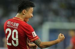 足球明星郜林在国内比赛中打出精彩进球，为球队取胜的简单介绍