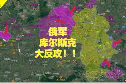 沙尔克主场失利，陷入保级区的简单介绍