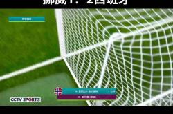 瑞典逆转挪威，生死战晋级欧预赛决赛的简单介绍