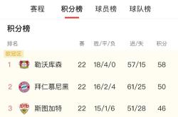 包含拜仁慕尼黑遭遇失利，联赛霸主遭遇寒潮的词条