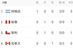 智利队战绩喜人，力争在国际锦标赛中夺冠的简单介绍