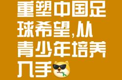 足球迷的心声：支持亚洲球队的决心的简单介绍