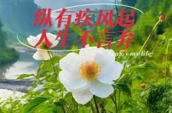 关于气吞山河：球队坚韧不拔，夺得胜利之心的信息