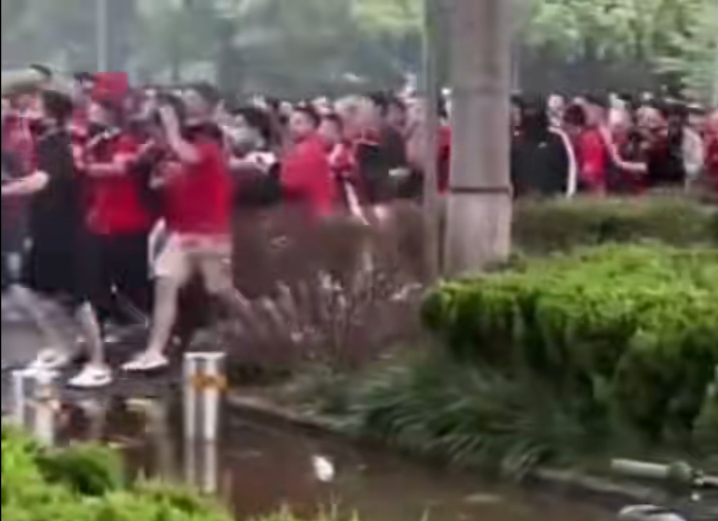 成都队员在赛场上表现出色，引发关注的简单介绍