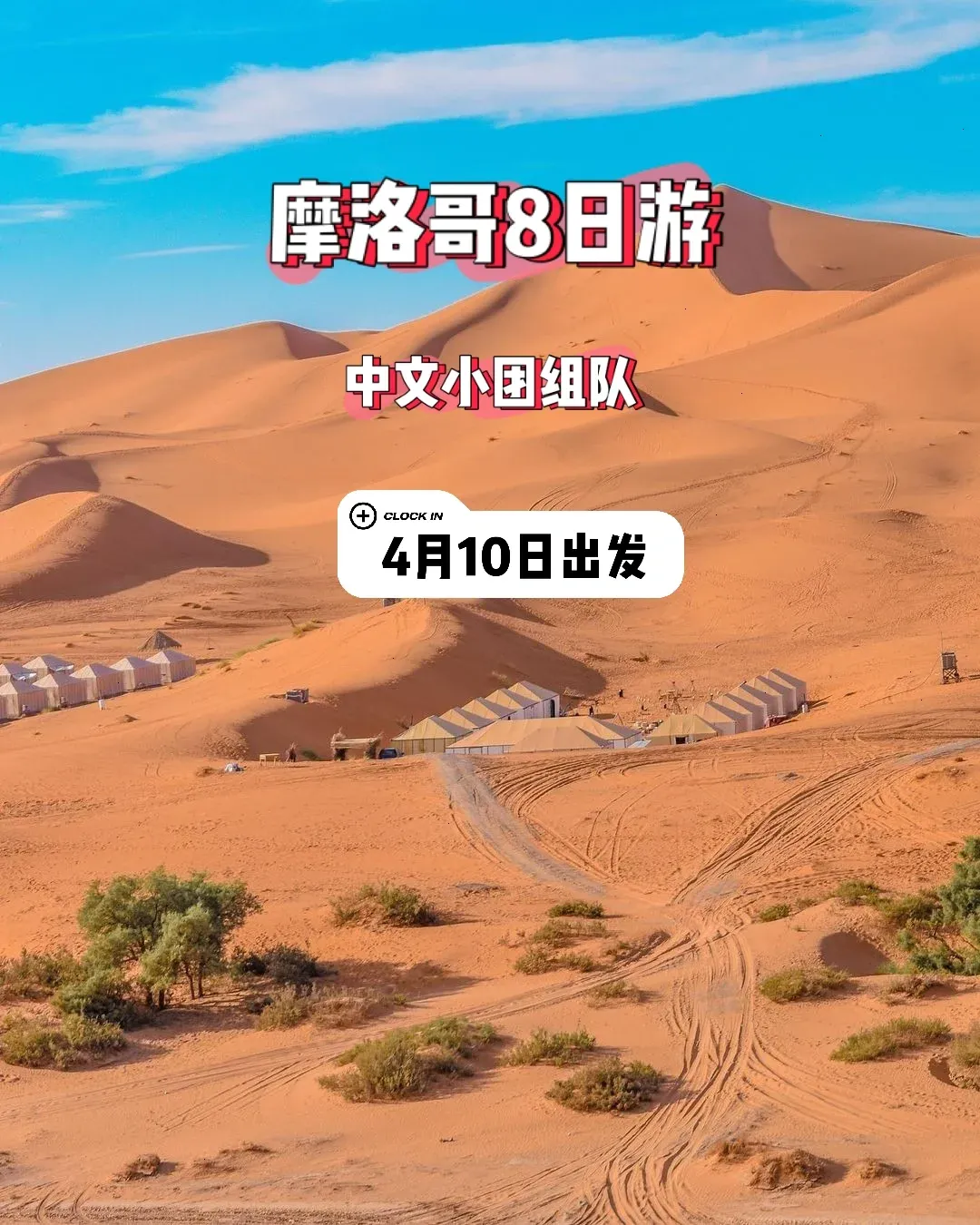 摩洛哥跳水选手再获佳绩，风头无两