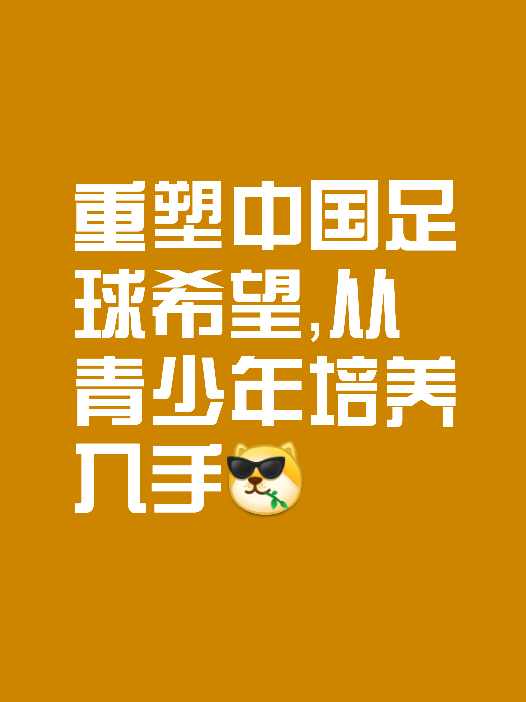 足球迷的心声：支持亚洲球队的决心的简单介绍