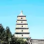 包含陕西长安竹鼠主场保持不败，与北京北控握手言和的词条