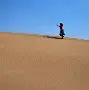 关于沙尔克里程屡破，战术麦克麦伦由重回阿尔卡特的信息