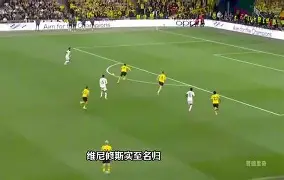 哈兰德错失单刀球，维尼修斯门将神勇扑救成最大功臣！的简单介绍